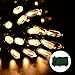 Joomer 50 LED String Christmas Lights (Warm White)