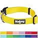 Blueberry Pet Essentials X-Small Dog Collar in Blazing Yellow | Adjustable & Eco-Friendly Durable Nylon Strap | Classic Collar for X-Small Dogs, Boy & Girl Pets