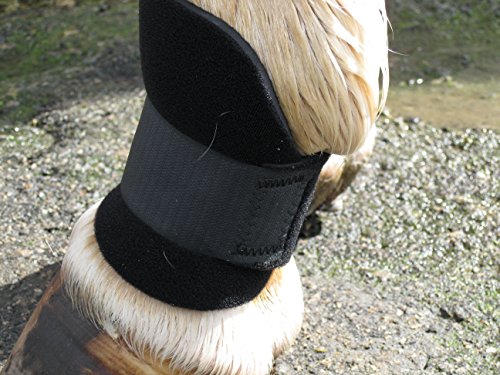 4 Equipro+Bed+Sore+Boots