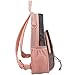 Eastsport Mesh Backpack Heavy Duty See-Through Semi-Transparent with Bungee for Adults, College, Beach, Sporting Events, and Travel - Blush/Graphite