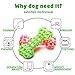 Petfactors Dog Chew Toys, Durable Dog Squeaky Bone Chew Textured Toy,Bite Resistant Squeeze Squeaker Puppy Toys for Non-Aggressive Chewers Dental Teeth Cleaning Training & Playing - Small/Medium Dogs