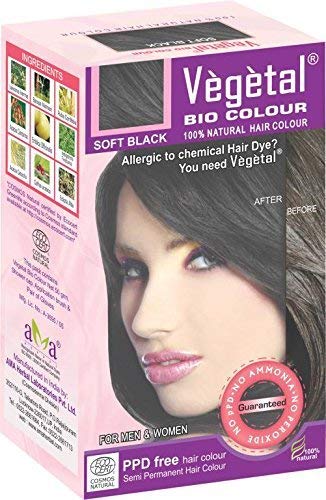 Amazon Com Vegetal Bio Colour Soft Black 50 Gm Beauty