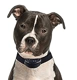 Our K9 Black Bark Collar. Medium - Large Size Dogs. . Sound and Static Shock Anti Bark Collar.