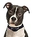 Our K9 Black Bark Collar. Medium - Large Size Dogs. . Sound and Static Shock Anti Bark Collar.