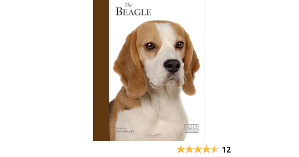 beagle amazon