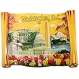 Scroll Shaped Washington DC Panaromic 3D National Mall Fridge Magnet- Washington DC Souvenirs