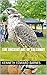 The Ancient art of Falconry