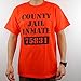 County Jail Prison Inmate Funny Novelty Orange 100% Cotton T Shirt Medium