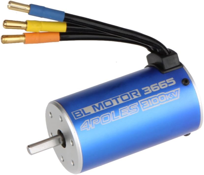 3665 brushless motor