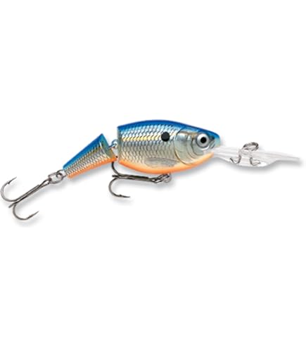 Shad Rap SR-5 P Rapala Fishing Lure Orig Box Papers