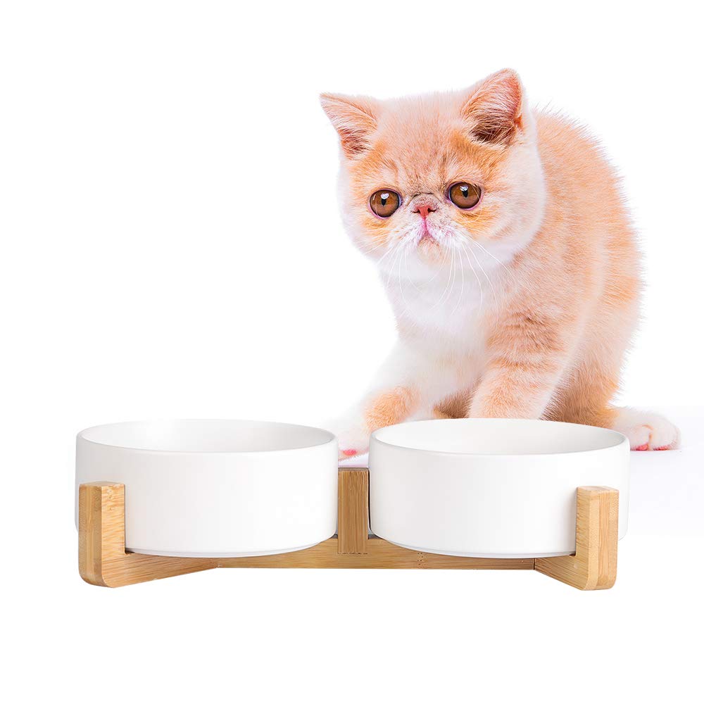 Ceramic Dog Bowl Set - Cat Dog Bowls with Non Slip Wood Stand - No Spill Double Pet Dish for Food Water Feeding (2 Cup- Suitable for cat and small dog)
