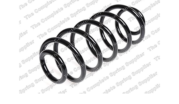 Triscan 8750 15173 Muelle de suspensión: Amazon.es: Coche y moto