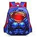 YOURNELO Boy's Cool 3D DC Comics Marvel's The Avengers School Backpack (Superman S)