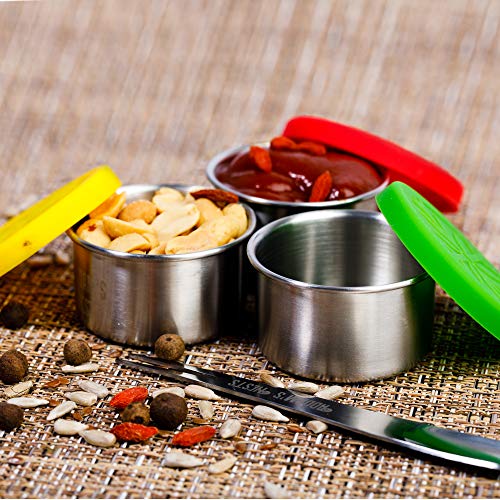 Stainless Steel Condiment Containers Set4 Reusable Condiment Mini