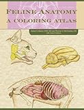 Feline Anatomy: A Coloring Atlas by