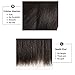 West Kiss Hair Straight Brazilian Virgin Human Hair 4x4 Lace Closure No Bleached Knots
