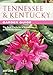 Tennessee & Kentucky Garden Guide: The Best Plants for a Tennessee or Kentucky Garden (Garden Guides) by Judy Lowe