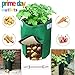 Aquarius CiCI Garden Potato Grow Bag Eco-Friendly Garden Planting Grow Bags Vegetables Planter Bags with Flap and Handles Heavy Duty Suitable for Potato, Carrot, Tomato, Onion(Green)