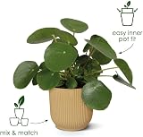 elho Vibes Fold Round 30 Plant Pot 100% Recycled Plastic Black Ø29.5xH27.2 view 2