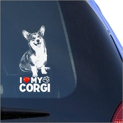 i love my corgi