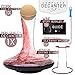 Wine Decanter With Aerator Set - Red Wine Carafe with Built in Wine Aerator, Drying Stand - Crystal Glass Wine Decanter - Fast Decanting Wine Accessories…