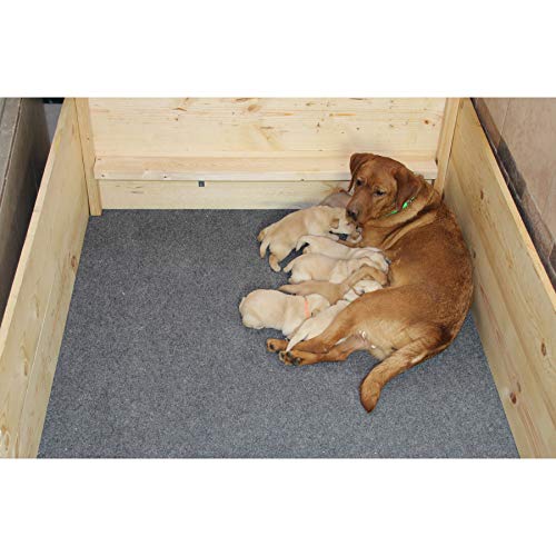 Drymate Premium Whelping Box Liner (48" x 59"), Machine Washable
