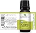 Plant Therapy USDA Certified Organic cajeput Essential Oil 100% Pure, Undiluted, Therapeutic Grade 10 Ml (1/3 Oz)