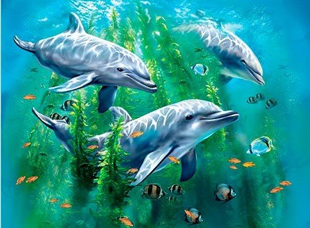 3D LiveLife Lenticular Wall Art Prints - Dolphin Kelp Bed from Deluxebase. Unframed 3D Ocean Poster. A perfect wall filler. Original artwork licensed from renowned artist, Tami Alba — image 1