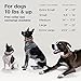 Link AKC Smart Dog Collar - GPS Location Tracker, Activity Monitor, and More, Leather Large (KITTN03)