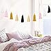 Cotton Tassel Garland Colored Tassels Banner Decorative, Total 20pcs Tassel Wall Hangings for Boho Home Decor, Baby Shower, Birthday Christmas Day Party, Nursey Room (2 Pack)