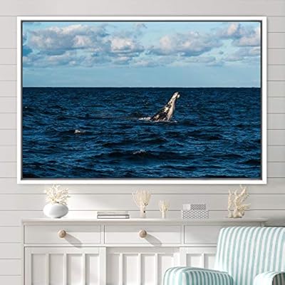 signwin Framed Canvas Wall Art Swimming Free Cool...