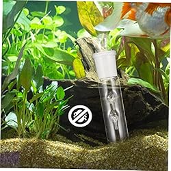 UKCOCO Leech Flatworm Aquatic Planarian Tube Shrimp