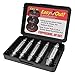 Damaged Screw Extractor Set, FYLINA 5 - Piece Damaged Screw And Bolt Extractor Set, Easily Remove Stripped Or Damaged Screws - Set of 5 Screw Removers
