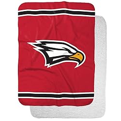 Polk State College Primary Logo Stripes Sherpa