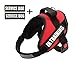 Fairwin Service In Training Dog Vest Harness, Dog Reflective Vest with IN TRAINING Patches for Large Medium Small Dogs …