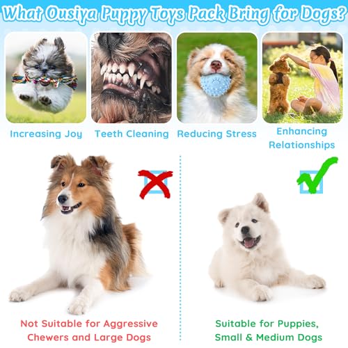 Ousiya 12 Pcs Puppy Teething Toys Set, Small Breed Chew Toys with Storage Case, Suitable for 8 Weeks Puppies