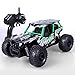 STOTOY RC Truck Remote Car,High Speed Off Road Monster Truck-1/16 Scale 2WD 2.4Ghz Radio Controlled Electric Truggy-Best Gift for Kids, Green