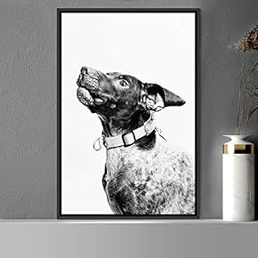 signwin Framed Canvas Wall Art High Contrast Portrait...