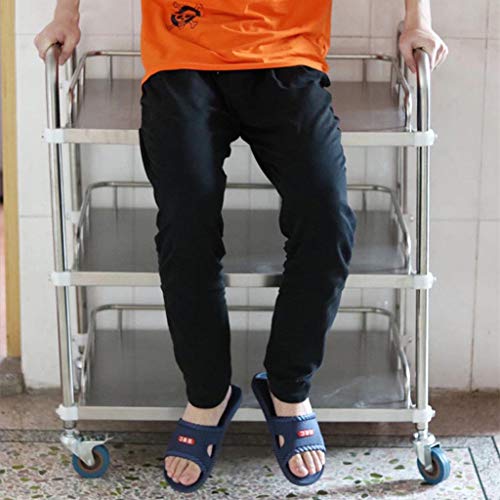 Trolley Medical Treatment Car Stainless Steel Instrument Table/Medical Vehicle Surgical Vehicle/Changing Vehicle Instrument Car/Double Drawer Beauty Car
