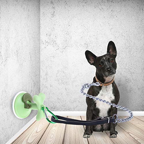 Qupida Dog Cat Traction Attachment Sucker Convenient Animal Attachment Device Wall Bracket Holder for Output