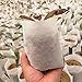 SKYCOOOOL 500PCS Biodegradable Non-Woven Plant Nursery Bags Plant Grow Bags Fabric Seedling Potsthumb 3