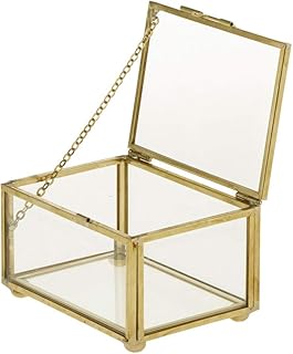 CAILI Schmuckkasten,Retro Glasschmuck Display Aufbewahrungsbox,Reise Schmuckbox,Schmuck Aufbewahrungskoffer für Ringe Ohrringe Halskette Armbänder,Kann Auch als Topfpflanzenbehälter Verwendet Werden
