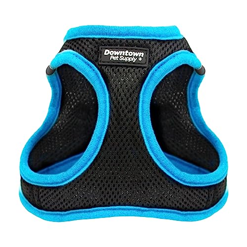 Downtown Pet Supply Step-in Dog Harness for Small Dogs, No Pull, X-Small, Black w/Cobalt Blue Trim - Adjustable, Padded Mesh Fabric, Reflective Trim, Buckle Strap