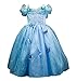 Domiray New Cinderella Dress Princess Costume Blue Butterfly Girl Dress (4-5 Years, Blue)