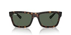 Ray-Ban Men's RB4396 Warren Rectangular