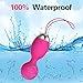 Wireless Remote Control Electrical Vibrating Kegel Balls for Shrink and Massage Vagina Muscles Bullet Mini Vibrator Egg -Best Adult Sex Toys for Women, USB Rechargeable 10 Frequency for Couples