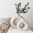 DHYXZCA White Modern Circle Ceramic Vase Set of 2, Nordic Circular Matte ​Hollow Donut Flower Vases Decorative Minimalist Art Boho Style for Home Living Room Office Kitchen Table Decor