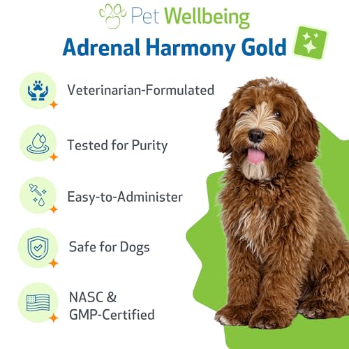Pet Wellbeing - Adrenal Harmony Gold for Dogs - Natural Support for Adrenal Dysfunction and Cushing's - 2 oz (59 ml)