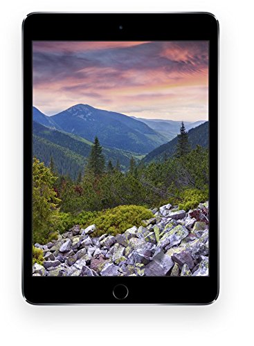 Apple Mgnr2Ll/A Ipad Mini 3 (Space Gray) - (1.3 Ghz Processor, 1 Gb Ddr2 Ram, 16Gb Hdd, Apple Ios 8) (888462022156)