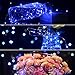 GDEALER 2 Pack Fairy Lights Battery Operated 20 FT 60 LEDs Twinkle Lights with 8 Modes Waterproof Remote Fairy String Lights Firefly Lights for Thanksgiving Christmas Decorations Bedroom Wedding- Blue